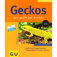 Geckos