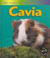 Het leven van een... - Cavia