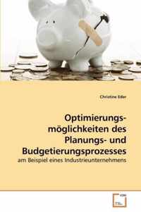 Optimierungs- moeglichkeiten des Planungs- und Budgetierungsprozesses