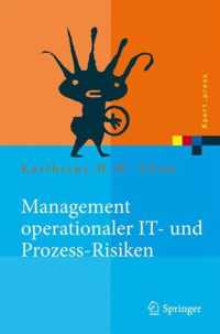 Management Operationaler IT- Und Prozess-Risiken