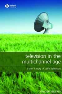 Television in the Multichannel Age