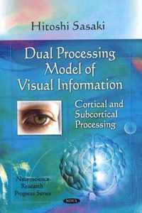 Dual Processing Model of Visual Information