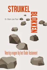 Struikelblokken - M.J. Paul - Paperback (9789087182854)