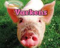 Vertel Maar  -   Varkens