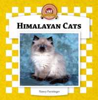 Himalayan Cats