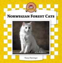 Norwegian Forest Cats