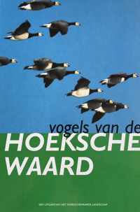 Vogels van de Hoeksche Waard