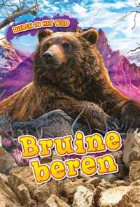 Dieren in het wild  -   Bruine beren