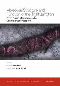 Molecular Structure and Function of the Tight Junction