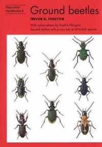 Ground beetles