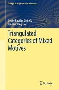 Triangulated Categories of Mixed Motives