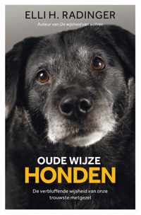 Oude wijze honden