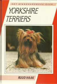 Yorkshire terriers