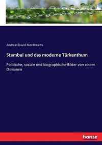 Stambul und das moderne Turkenthum