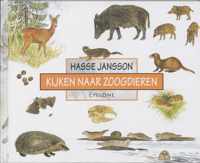 Kijken Naar Zoogdieren