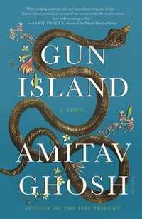 Gun Island