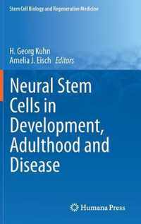 Neural Stem Cells in Development, Adulthood and Disease