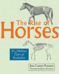 The Rise of Horses  55 Million Years of Evolution