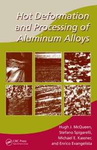 Hot Deformation and Processing of Aluminum Alloys