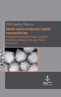 Metal-Semiconductor Hybrid Nanoparticles