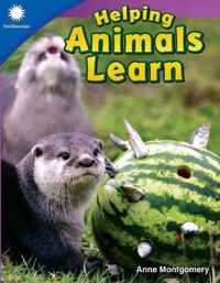 Helping Animals Learn