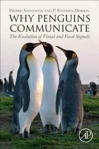 Why Penguins Communicate