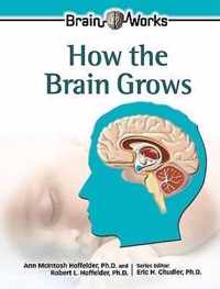 How the Brain Grows