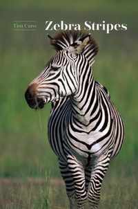 Zebra Stripes