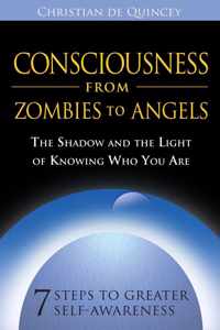 Consciousness from Zombies to Angels