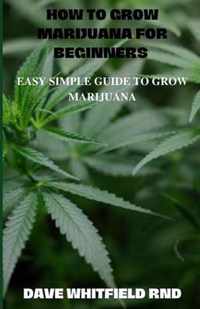 How to Grow Marijuana for Beginners