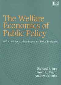 The Welfare Economics of Public Policy