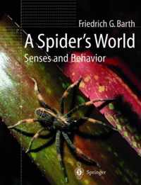 A Spider S World