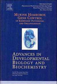 Murine Homeobox Gene Control of Embryonic Patterning and Organogenesis