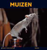 Muizen