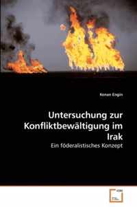 Untersuchung zur Konfliktbewaltigung im Irak