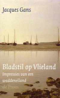 Bladstil Op Vlieland