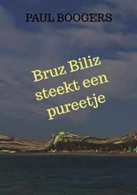 Bruz Biliz steekt een pureetje - Paul Boogers - Paperback (9789464187168)