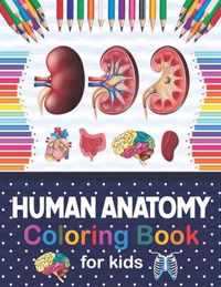 Human Anatomy Coloring Book For Kids