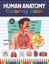 Human Anatomy Coloring Book For Kids