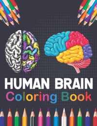 Human Brain Coloring Book