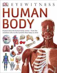 Human Body