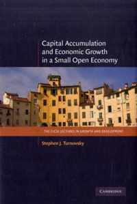 Capital Accumulation and Economic Growth in a Small Open Economy