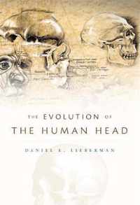 The Evolution of the Human Head