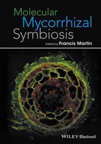 Molecular Mycorrhizal Symbiosis