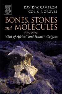 Bones, Stones and Molecules