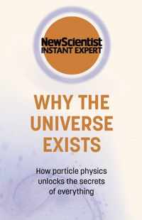 Why the Universe Exists