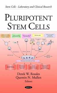 Pluripotent Stem Cells