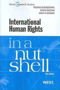 International Human Rights in a Nutshell