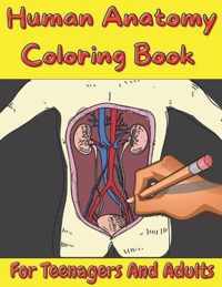 Human Anatomy Coloring Book For Teenagers And Adults