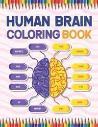 Human Brain Coloring Book